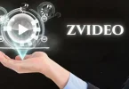 Zvideo Review: The Ultimate Streaming Experience